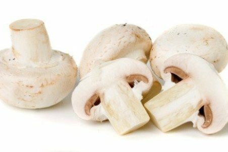 ۶ خاصیت شگفت‌انگیزِ قارچ برای سلامتی