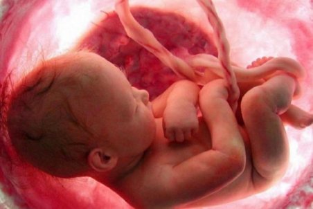 سقط جنین چه مجازاتی دارد؟