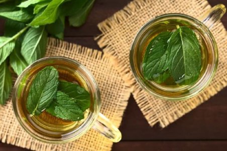 ۸ خاصیت نعناع؛ سبزی که عطرش هوش از سرتان می‌برد