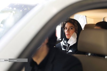 عکسی که سوژه رسانه ها شد/ سحر دولتشاهی در خودروی همایون شجریان!