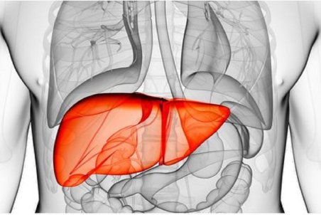 با این نشانه‌ها شما کبد چرب دارید