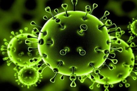 افزایش ناقلان بیماری کرونا در تربت جام