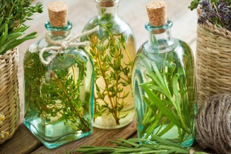 خواص آویشن؛ گیاه سحرآمیزی که بقراط بر مصرف آن تاکید داشت