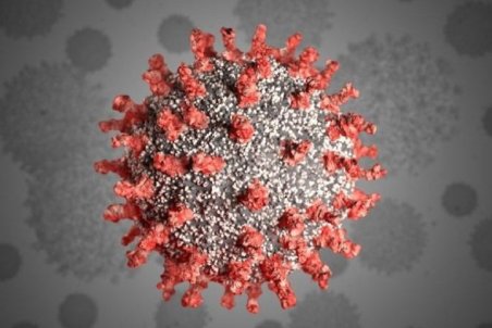 برخی ارقام منتشر شده درباره جهش ویروس کرونا منطقی نیست