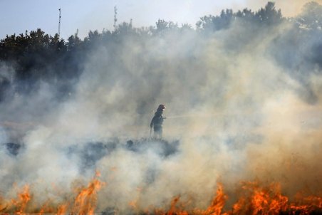 (تصاویر) آتش سوزی در بستر زاینده رود