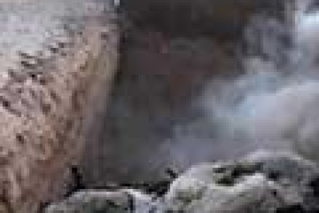 ماجرای دفن گوسفندان چه بود؟