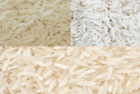 قیمت جدید انواع برنج ایرانی و وارداتی در میادین میوه و تره بار پایتخت
