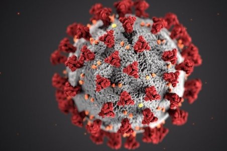 رئیس دانشگاه علوم پزشکی قزوین: افراد بالای ۶۵ سال باید قرنطینه معکوس شوند