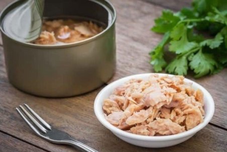 استفاده از پنبه در تولید تن ماهی تکذیب شد