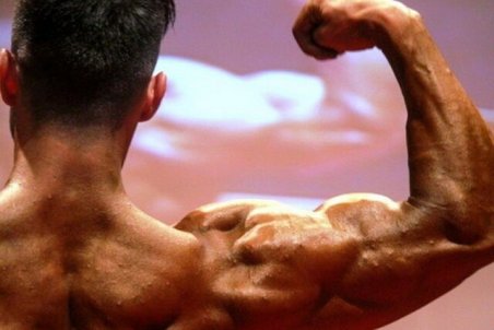 کرباسی: پاسخگوی اعتراض کاندیداهای بدنسازی هستم/ فعلا امکان برگزاری انتخابات نیست