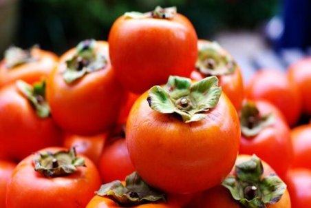 خواص «خرمالو» را بشناسیم/تقویت سیستم ایمنی بدن