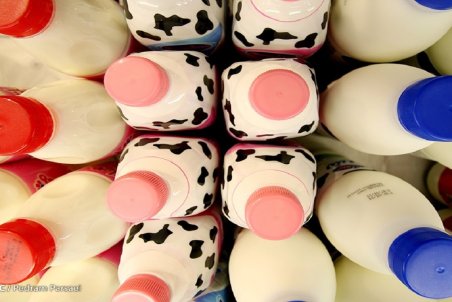 چرا لبنیات مجدد گران شد؟/فروشِ گران شیر بطری با اسامی عجیب و غریب!