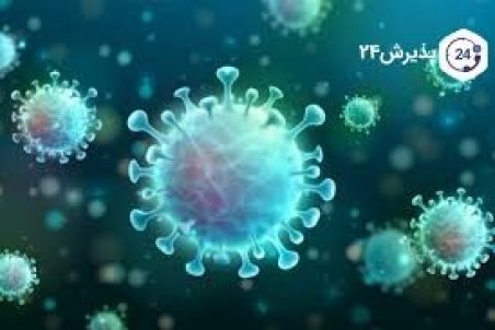 شمار قربانیان کرونا در کهگیلویه و بویراحمد به ۲۹۶ ‌نفر رسید