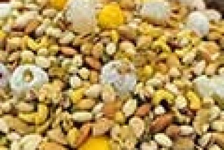 رئیس اتحادیه خشکبار: آجیل برای کرونا مفید است!