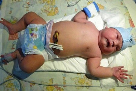 سازمان ثبت احوال: دخل و تصرفی در ثبت تاریخ تولد نوزادان نداریم