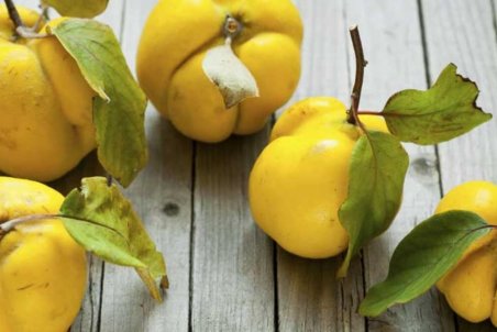 خواص شگفت انگیز یک میوه زمستانی برای بدن