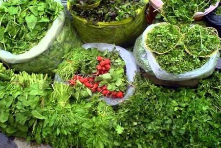آشنایی با نحوه کاشت سبزی خوردن در خانه