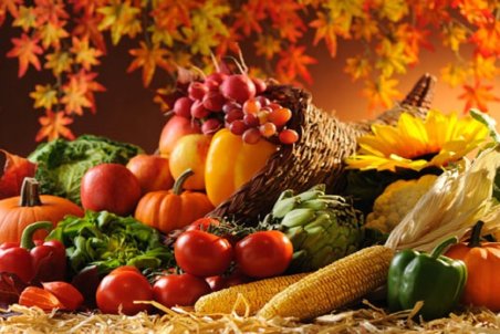 بازار میوه در آرامش به سر می‌برد؛ حداکثر قیمت هر کیلو انار ۲۱ هزار تومان