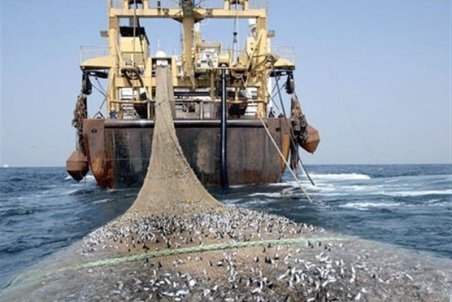 ۲۰ روز از زمان آغاز ممنوعیت دو ساله "صید ترال" گذشت!/ ترال همچنان ادامه دارد؟!