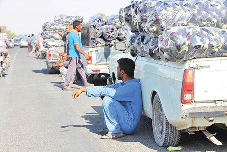 فروش ۱۰هزار تومانی بادمجان ۵۰۰ تومانی!