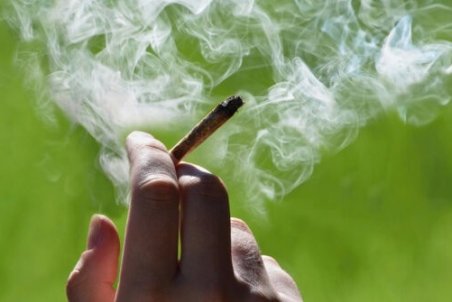 افزایش ۱۴ درصدی توهم‌زایی «گل» و ۲۴ درصدی «حشیش»