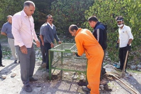 اصرار شهرداری کرج به حذف سبدهای زباله از سطح شهر