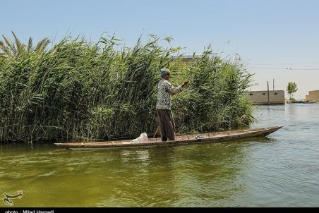 اجرای طرح حمایت از معیشت پایدار ماهیگیران تالاب شادگان