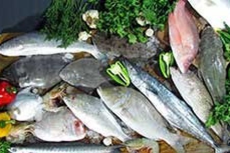 سازمان حمایت: مردم به جای مرغ، ماهی بخورند!