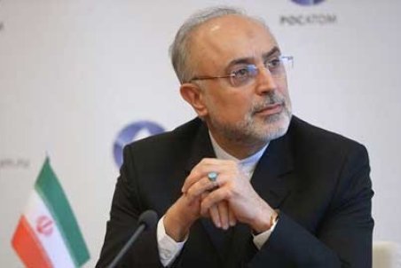 صالحی: احمدی‌نژاد مخالف مذاکره با آمریکا بود