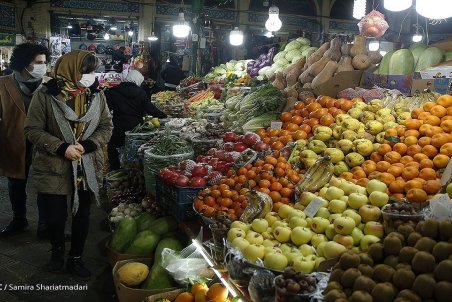 کمبودی در عرضه میوه نداریم؛ انحصار در واردات موز، قیمت را بالا برد