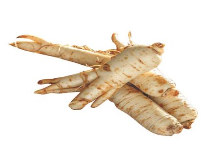 فواید و عوارض جینسینگ؛ گیاه جوانی