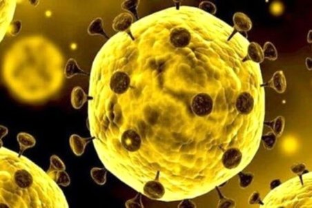 کمترین فوتی کرونایی در کدام استان است؟