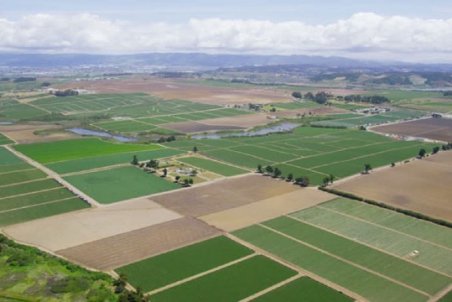 کاداستراصولی‌ترین راهکار جلوگیری از تخریب و تصرف اراضی ملی