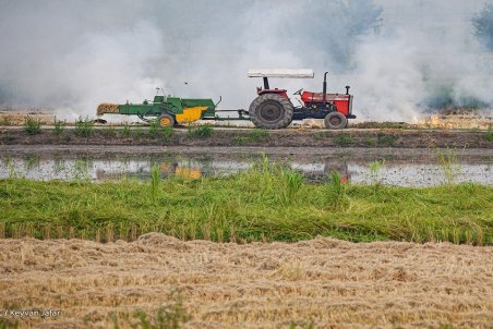 عرضه تراکتور ۲ برابر قیمت واقعی در بازار آزاد