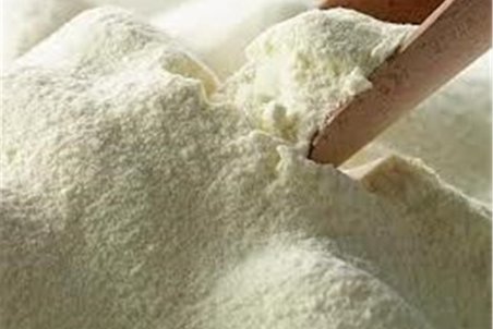 فاز نخست "کارخانه شیرخشک" بروجرد در آستانه افتتاح است