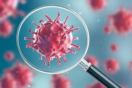 شناسایی ۲۶ مورد جدید مبتلا به کرونا ویروس در ایلام/ بدون مورد فوتی