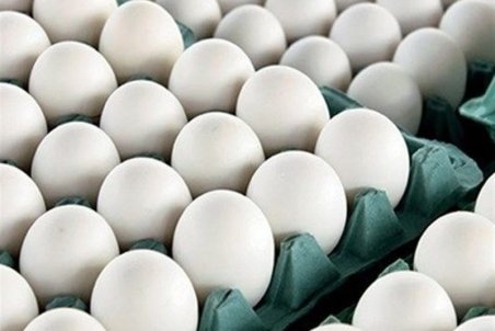 قاچاق تخم‌مرغ هر شانه ۷۰ هزار تومان/اجرای طرح تخم‌مرغ بسته بندی قیمت را به ۳۶ هزار تومان کاهش می‌دهد