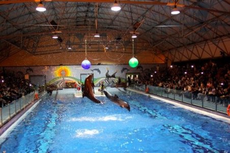 دلفیناریوم برج میلاد برای همیشه تعطیل شد