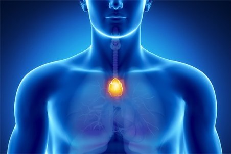 ۱۰ نشانه مخفی ابتلا به تیروئید