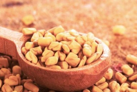 خواص اعجاب انگیز تخم شنبلیله