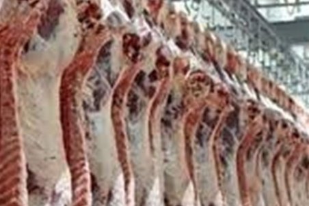 قیمت گوشت گوساله وارداتی ۷۳ تا ۱۲۰ هزار تومان تعیین شد