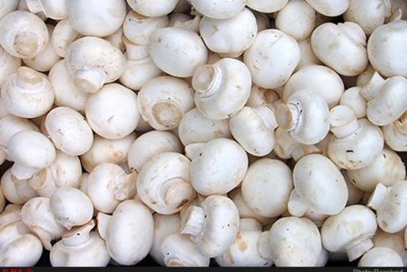 افزایش ۳۰ درصدی سرانه مصرف قارچ از زمان شیوع کرونا