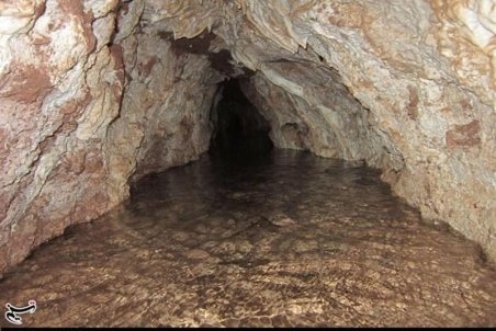 رئیس دانشگاه علوم پزشکی اهواز: آب شرب یکی از روستاها در "باغملک" آلوده بوده است