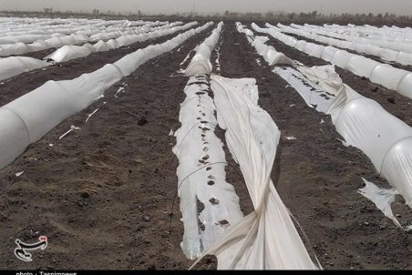 آخرین جزئیات طوفان در جازموریان؛ برق ۴ روستا هنوز قطع است