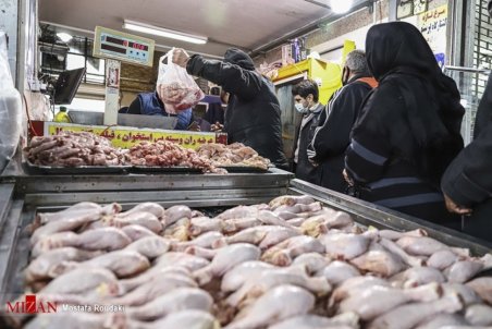 افزایش دوباره قیمت مرغ در راه است؟