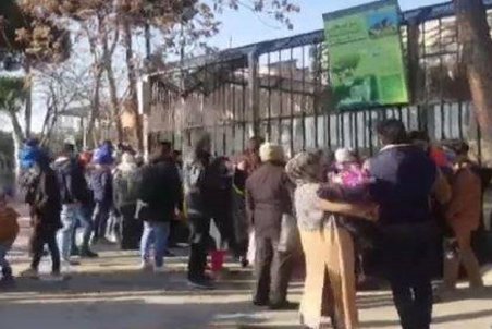 جولان ویروس کرونا در باغ وحش ارم