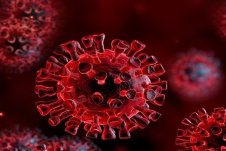 شناسایی ۸۱ مورد جدید مبتلا به کرونا در شاهرود