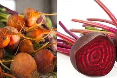 تفاوت لبو و چغندر در چیست؟