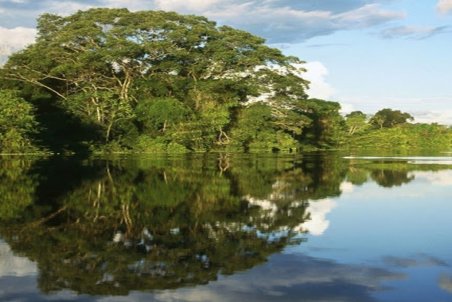 سایت های پرورش میگو زنگ خطر برای جنگل‌های حرای قشم محسوب می شود؟