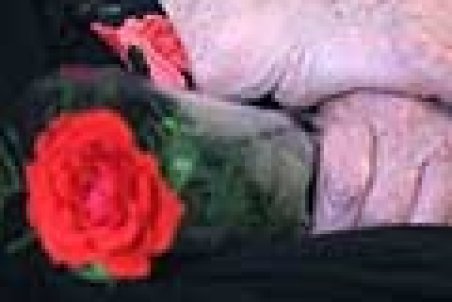 هر شاخه گل برای روز مادر چند؟